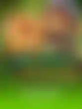 Ugliest Catch