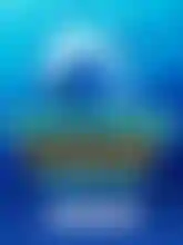 Dolphin Reef