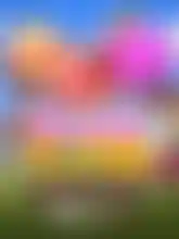 Candy Clash