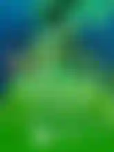 Lucky Fish