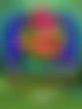 Chameleon